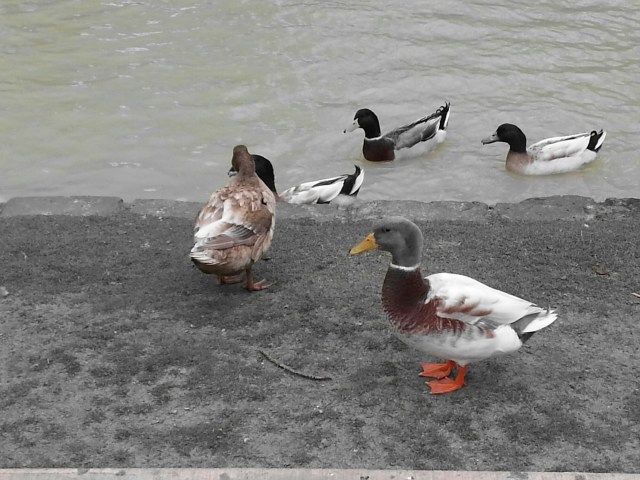 20150831_144129.jpg image