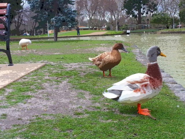 20150831_144313.jpg image