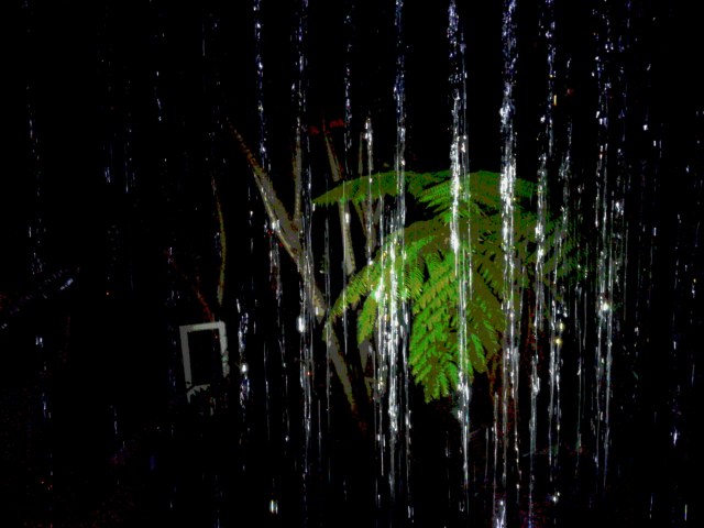 20151209_203725(0).jpg image