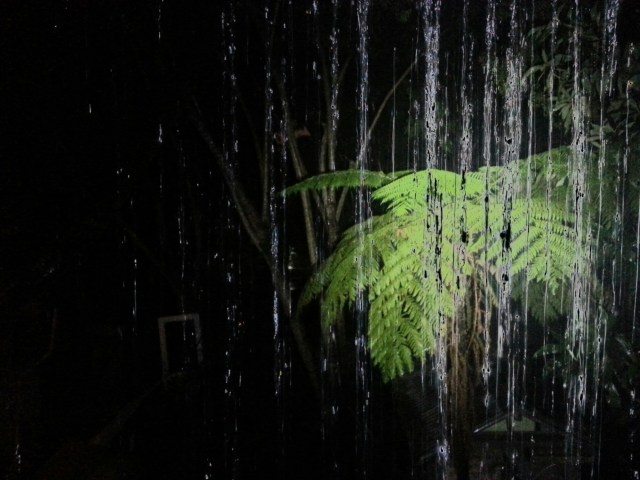 20151209_203916.jpg image