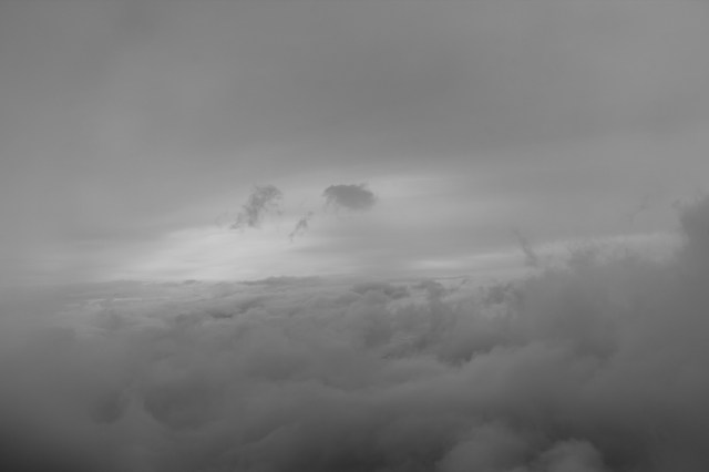 IMG_7769