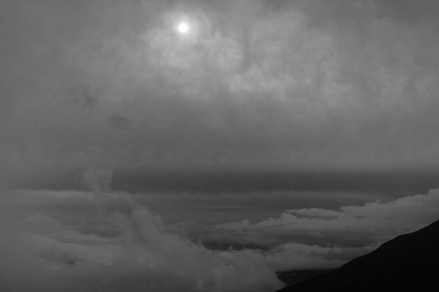 IMG_7785